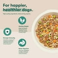 thumbnail image 4 of Jinx Homemades Chicken Recipe Wet Natural Dog Food, Whole Grain, 9 oz. Pouch, 4 of 11
