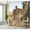 thumbnail image 5 of Ambesonne Wildlife Shower Curtain, Savannah Animal Cheetahs, 69"Wx84"L, Black Tan, 5 of 5