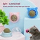 thumbnail image 2 of Irresistible Catnip Wall Ball: Promote Dental Health and Digestion in Your Feline Friend ShopWise Round, 2 of 40