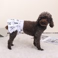 thumbnail image 3 of Dog Physiological Pants - Cartoon Panda Print, Breathable - Adjustable Fastener Tape, Leakproof - Pet Diaper Shorts, Panties Underwear, 3 of 8
