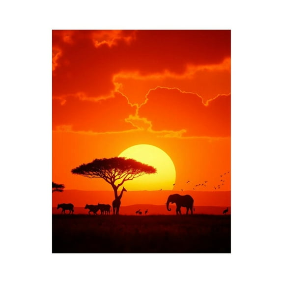 Paint by Numbers Kit for Adults, African Sunset Wildlife Paint by Numbers, Easy Paint by Numbers Kit for Adults Beginner, DIY Adult Paint by Number Kits on Canvas, Home Decor