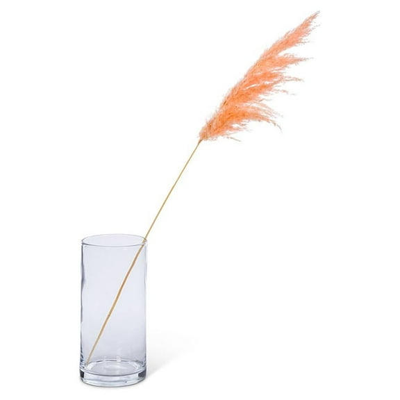 Medium Pampas Grass