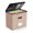 Coral, variant on 2 Pack File Organizer Boxes with Lids, File Box with Mesh Pockets, Document Organizer Box for File Folders Letter Size, Zippers Filing Box for Home, Office, School (Green, Without Folders)