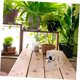 thumbnail image 5 of Bird Breeding Box Wooden Nest Box Indoor And Outdoor Use Garden Bird House, 5 of 5