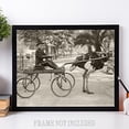 thumbnail image 6 of Lone Star Art California Ostrich Buggy Bizarre Strange Weird Vintage Photo - 11x14 Unframed Print - Perfect Vintage Home Decor, 6 of 6