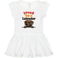 thumbnail image 3 of Inktastic Labrador Retriever Dog Gift Girls Baby Dress, 3 of 5