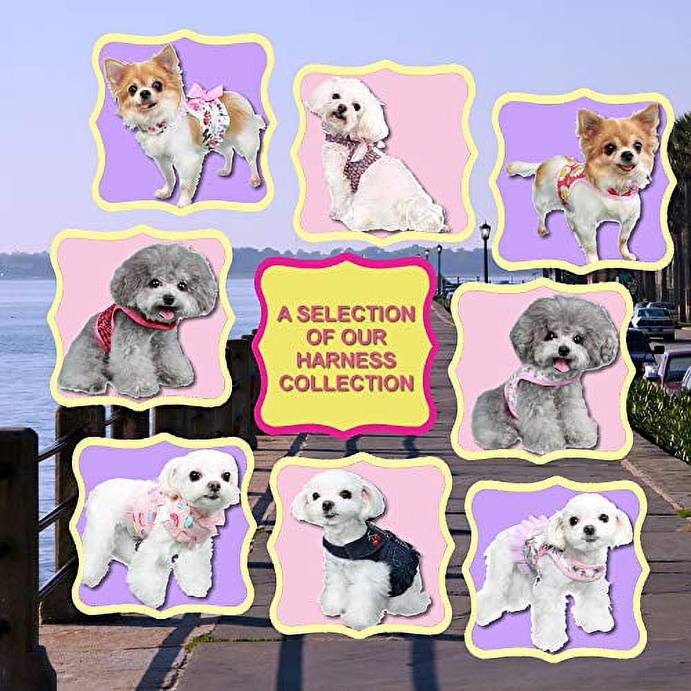Pooch Outfitters Dog Harness Collection | Dog Walking with Style – Extensive Selection of Unique, Fashionable Harnesses That Suit Any Taste, Mood, Occasion