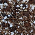 thumbnail image 3 of String of Pearls Imperial Potting Soil Mix - Standard Bag (8 quarts), 3 of 4