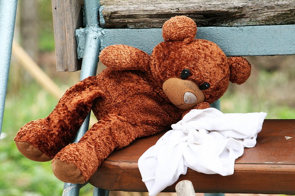 teddy bear sorry