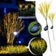 thumbnail image 1 of Luces solares para jardín, iluminación paisajística (paquete de dos), luces solares inalámbricas con estaca para cercas, patios, jardines y decoración de parterres., 1 of 7