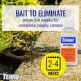 thumbnail image 7 of TERRO 2 Ounce Liquid Ant Killer, 7 of 7