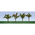thumbnail image 3 of JTT Scenery Products 95517 Apple Saplings, 1-3/8" (12), 3 of 3