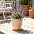 thumbnail image 3 of Plastic Flower Pot with Scalloped Rim for Indoor and Outdoor Plants, Suitable for Succulents and Green Plants, Home Decor Planter, 3 of 5