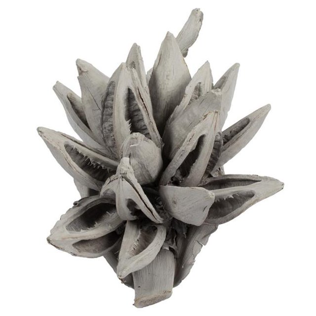 Vickerman H2STA300 6-11 Po. Gris Lavé Star Pod