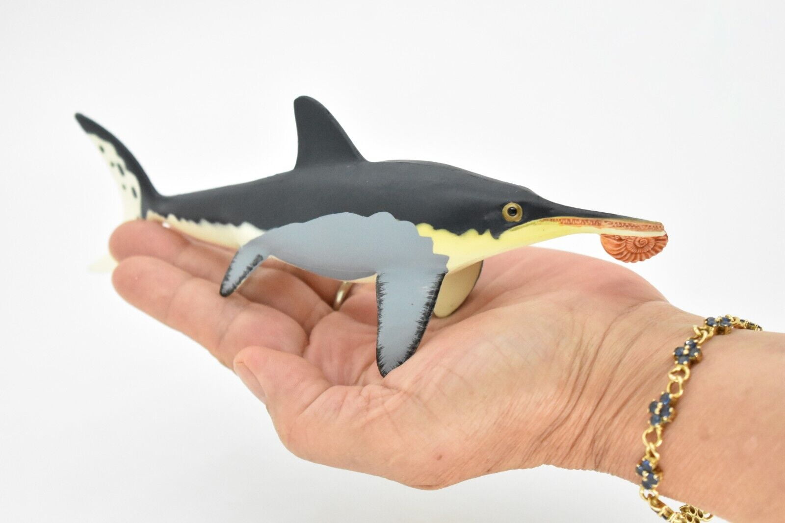Helicoprion toy hotsell