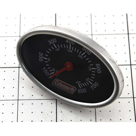 

THERMOMETER ASSEMBLY 99981551