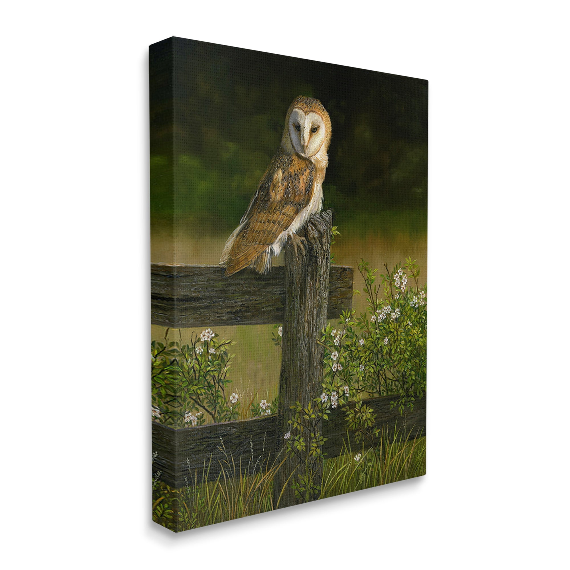 Stupell Industries Barn Owl on Fence Animals & Insects Painting Gallery Wrapped Canvas Art Print Wall Art, 16 x 20