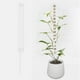 thumbnail image 1 of Moss Column Green Ivy Stick Water Moss Column Climbing Tool Plastic Moss, 1 of 8