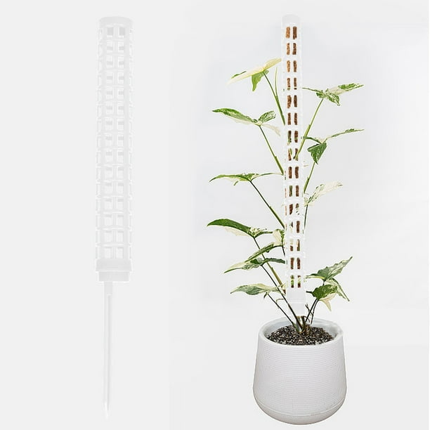 Moss Column Green Ivy Stick Water Moss Column Climbing Tool Plastic Moss
