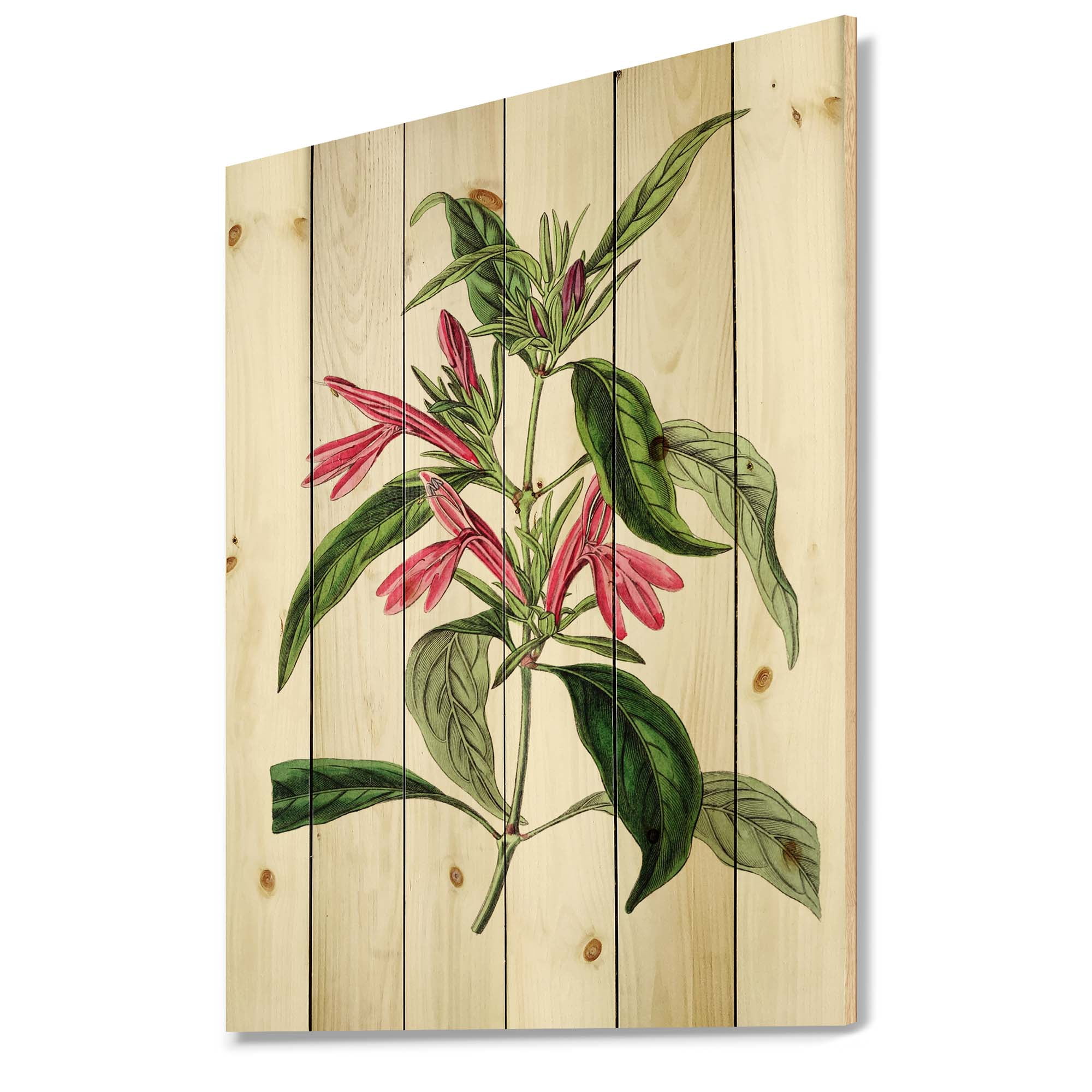 Designart 'Ancient American Flora VII' Traditional Print on Natural Pine Wood