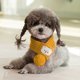 thumbnail image 1 of Bufanda para mascotas, accesorios para cachorros, ropa a juego para mascotas, suministros para mascotas, bufanda de lana para cachorros, bufanda para gatos al por mayor, 1 of 6