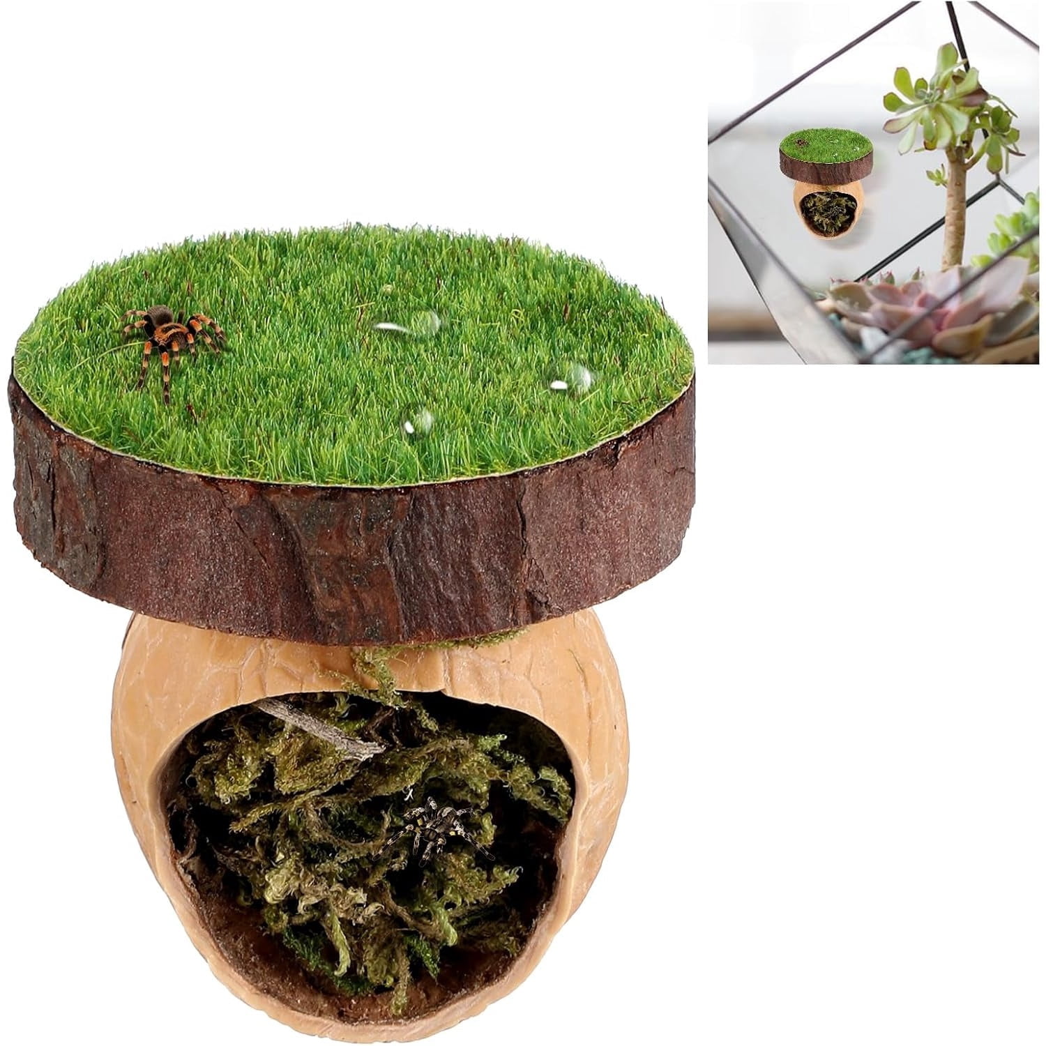 Jumping Spider Hide Magnetic Habitat Climbing Platform for Tarantulas Enclosure