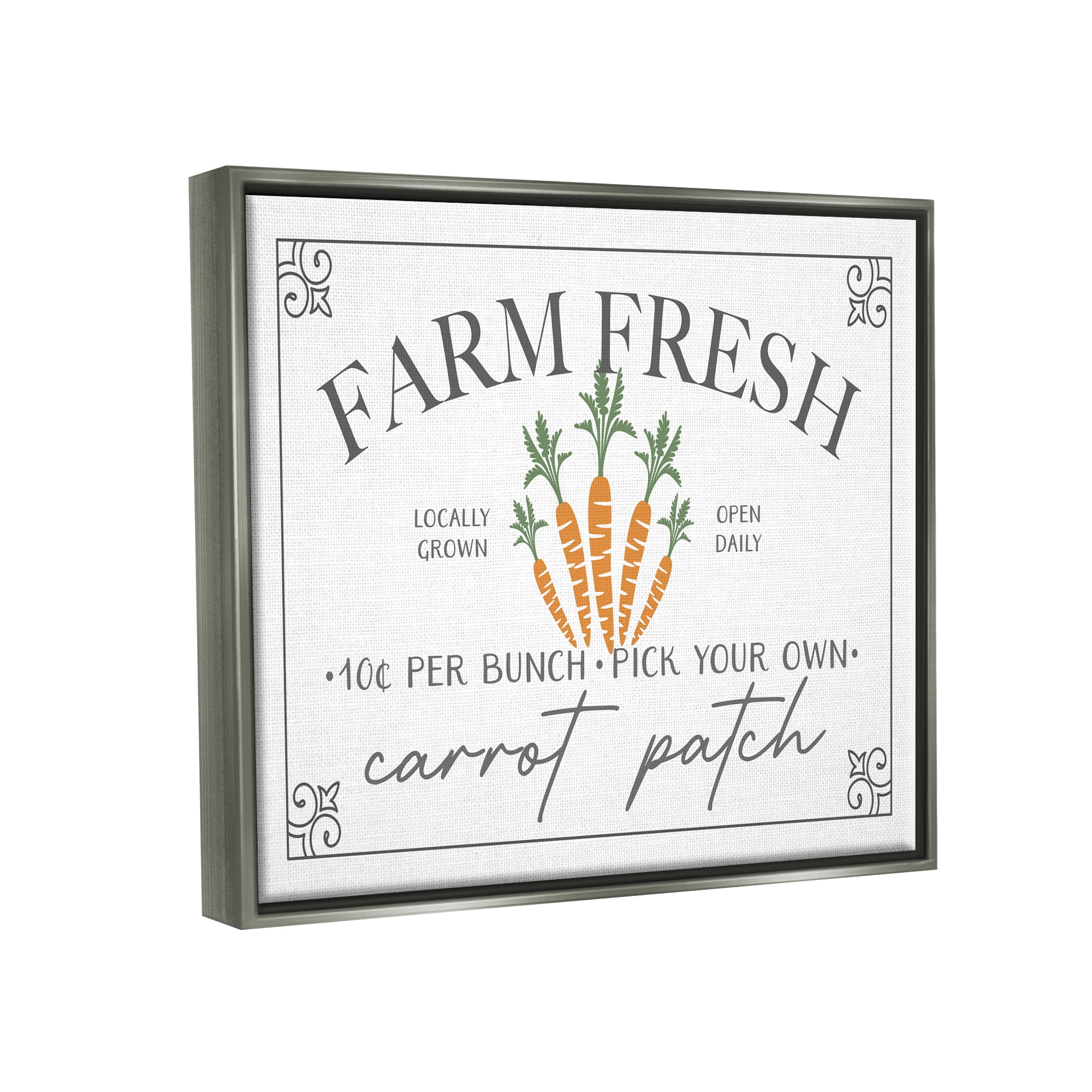 Farm Fresh Carrot Patch Seasonal Springtime Vegetables Gray Floating Frame Canvas Art, 21 x 17, By JJ Design House LLC