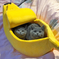thumbnail image 2 of 2X Cute Banana Cat Bed, Pet Bed Soft Cat Embrace Bed, Lovely Pet Bed for Cats, Rabbits & Small Dogs Yellow, 2 of 5