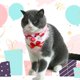 thumbnail image 4 of Botao Bandanas para perros Bufandas triangulares lavables para mascotas, 4 of 5