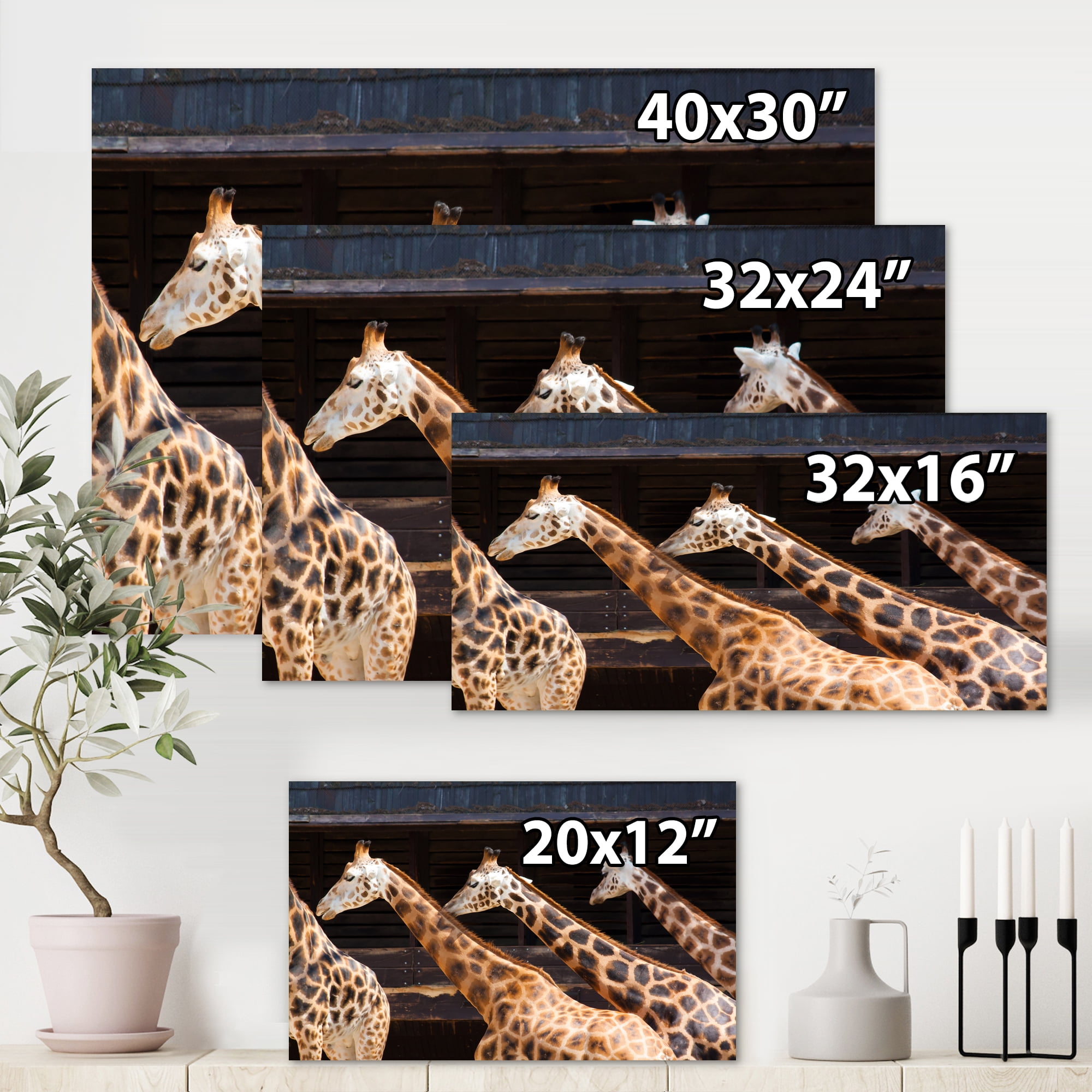 Designart ' Portrait Of Three Giraffes Running ' Farmhouse Canvas Wall Art Print