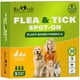 thumbnail image 1 of Beloved Pets Antipulgas y Garrapatas en Pipeta Natural 3 Meses, 1 of 8