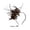 Coffee, variant on WDDDD Fascinator Hat for Women Feather Pearl Veil Tea Party Wedding Headpiece