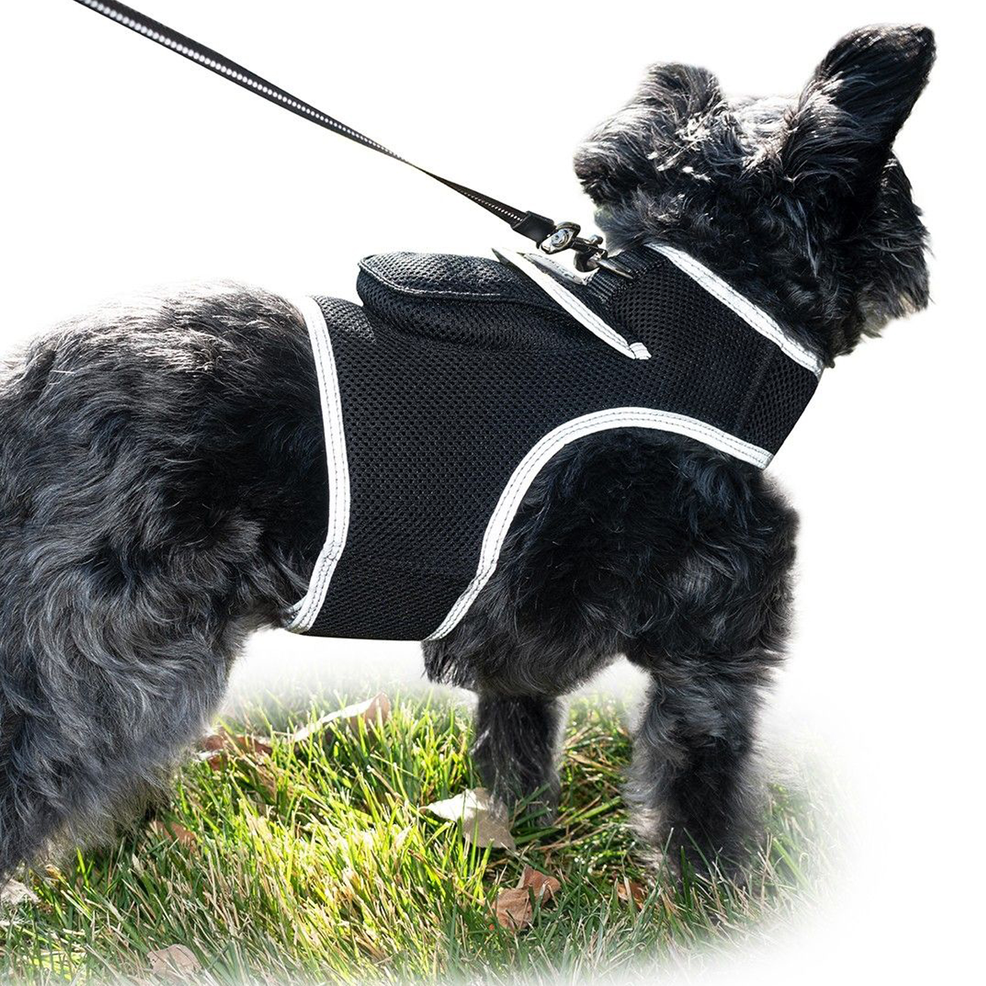 XS Wireless GPS Dog Collar for Hunting – Real-Time Location Tracker with Long-Range Coverage