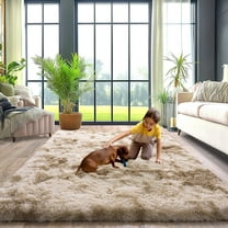 Upgrade Non-Slip Plush Rugs for Living Room, Soft Shaggy Carpets for Living Room, Fuzzy Rugs for Kids' Room, Perfect Decor for Modern Home Tie Dye Camel 6x9 Feet