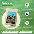 thumbnail image 3 of Colorado Wildflower Seed Mix, 14 Flower Varieties, 53,000+ Seeds - Created By Nature, 3 of 6
