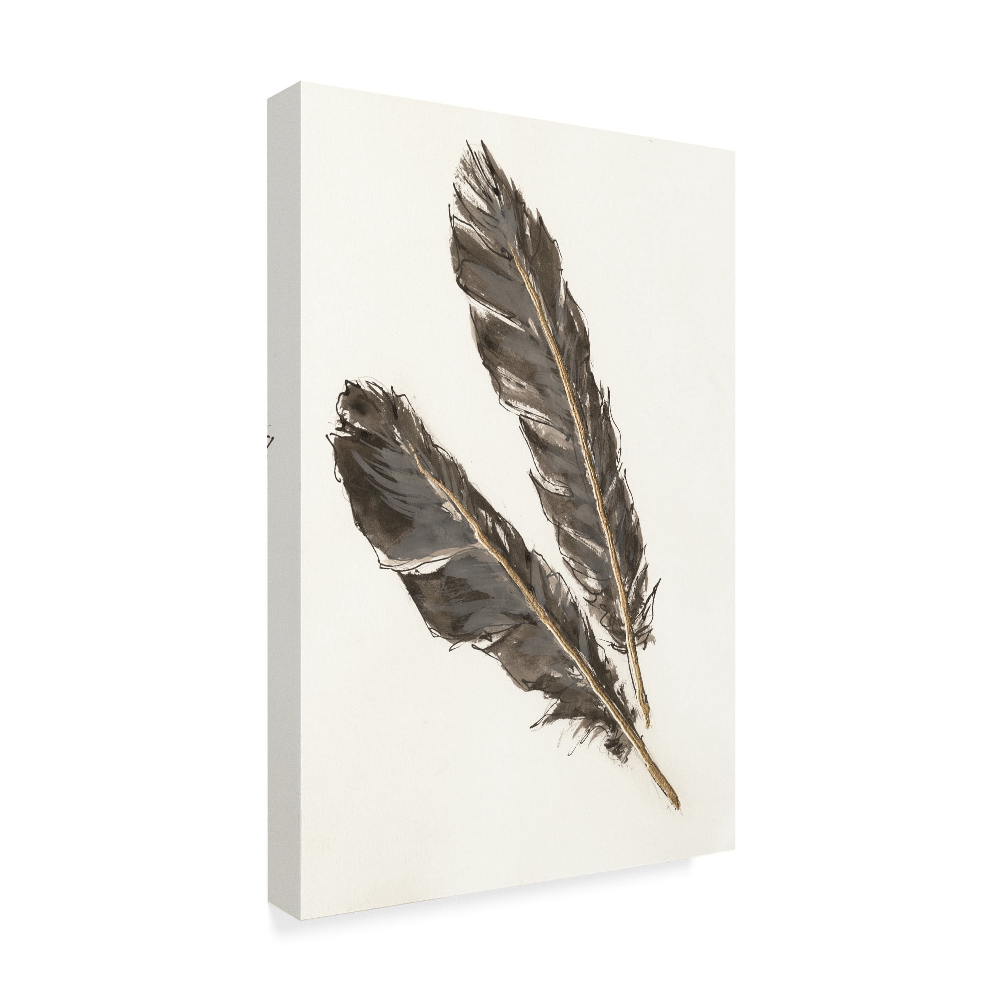Trademark Fine Art 'Gold Feathers III' Canvas Art by Chris Paschke