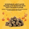 thumbnail image 4 of NaturVet Scoopables Digestive Enzymes, Cat Supplements, 45 Scoops, 4 of 8