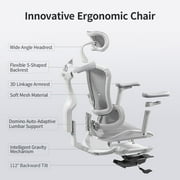 Sihoo Doro-C300 Ergonomic Chair, 3D Armrests Swivel Chair, Adaptive Lumbar Support Office Chair, Ergonomic Desk Chairs for Adults, Comfort Home Office Chair, Gray