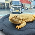 thumbnail image 4 of Bearded Dragon Bed Soft Mat with Suction Cup Bearded Dragon Sleep Cushion Washable for Travel Reptile Tank Accessories Small Animal Carrier for Lizard Leopard Gecko (Black), 4 of 5