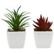 thumbnail image 1 of GOOHOCHY 2 piezas de plantas suculentas artificiales, plantas falsas de escritorio, bonsáis pequeños, bonsáis decorativos., 1 of 7