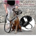 thumbnail image 3 of Gentle Muzzle Guard For Dogs - Prevents Biting Unwanted Chewing-hao, 3 of 4