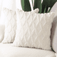 thumbnail image 1 of 2er Set Sanft Plüsch Kurze Wolle Samt Dekorativ Zierkissenbezüge Luxus Stil Kissenbezug für Sofa für Schlafzimmer Beige 40x40 cm Quadrat, 1 of 1