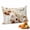 Beige, variant on Red Orange Hello Fall Throw Pillow Covers,Pumpkin Thanksgiving Botanical Floral Soft Breathable Pillow Cases with Zipper for Sleeping,Long Body Pillowcases for Couch Bed Sofa Chair 20x54 Inches