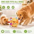 thumbnail image 5 of Colorful Squeaky Hanging Dog Training Toy with 50inch Elastic Ropes Soft, Stretchy - Durable Chew & Play Toy for All Dogs, 6-Inch Hanging Dog Toys with Cotton Material and Built-In Bell, 5 of 9