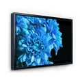 thumbnail image 3 of Detail of Blue Flowers On Black Background I 20 in x 12 in Framed Photography Canvas Art Print, by Designart, 3 of 5