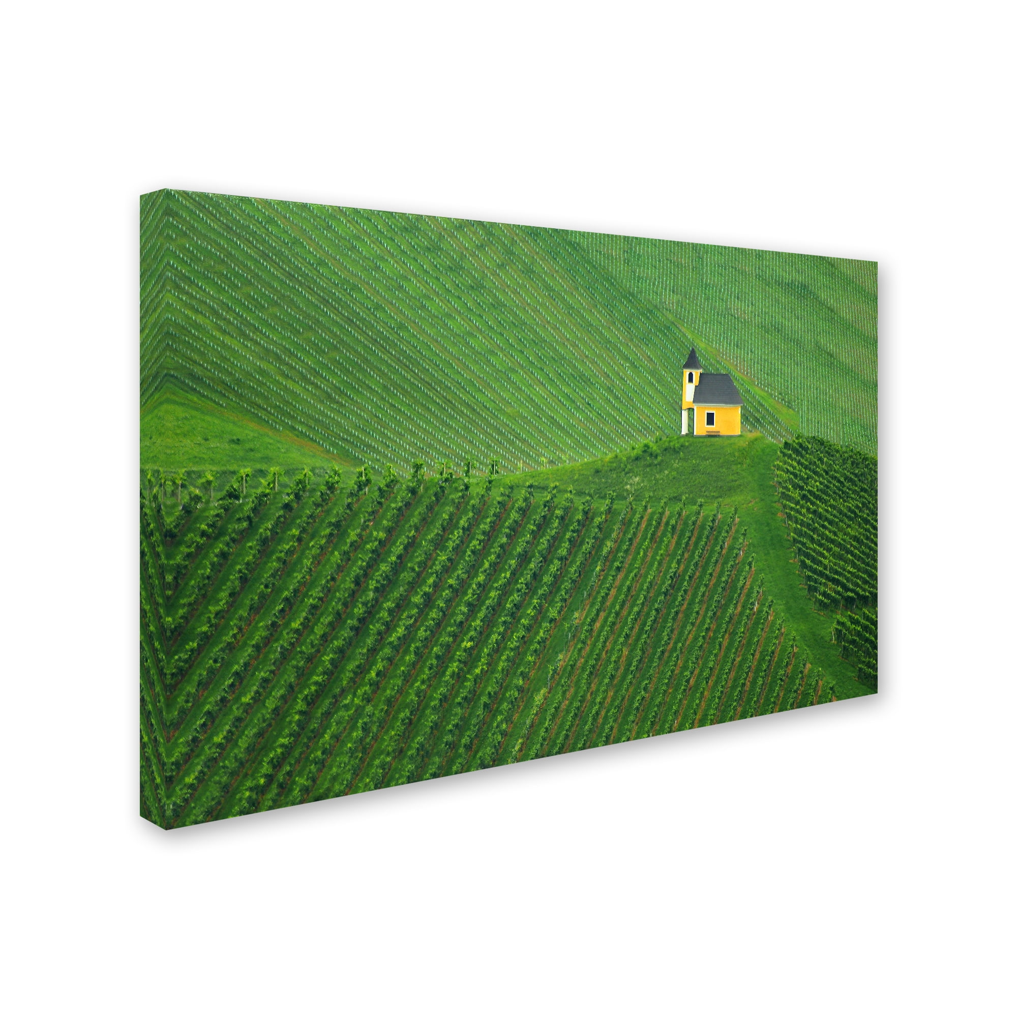 Trademark Fine Art 'Calmness' Canvas Art by Jure Kravanja
