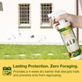 thumbnail image 4 of EcoVenger Ant Killer & Crawling Insect Killer (Citrus Scent) 16 OZ, Kills Fast in Minutes, Also Kills Spiders, Centipedes & More, Repels with Residual, Natural & Non-Toxic, Children & Pets Safe, 4 of 10