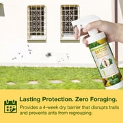 EcoVenger Ant & Crawling Insect Killer (Citrus Scent) 16 OZ, Kills Fast in Minutes, Also Kills Spiders, Centipedes & More, Repels with Residual, Natural & Non-Toxic, Children & Pets Safe