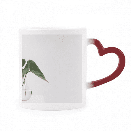 

Simpol Green Nature Photo Heat Sensitive Mug Red Color Changing Stoneware Cup