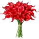 thumbnail image 1 of POWKOL 20 flores artificiales de lirio de cala, flores de látex de tacto real, para ramos de boda, fiestas y decoración del hogar (rojo), 1 of 6